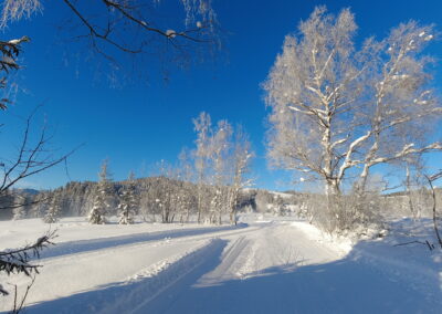 Finnenloipe_Rothenthurm_Foto Sonnentag